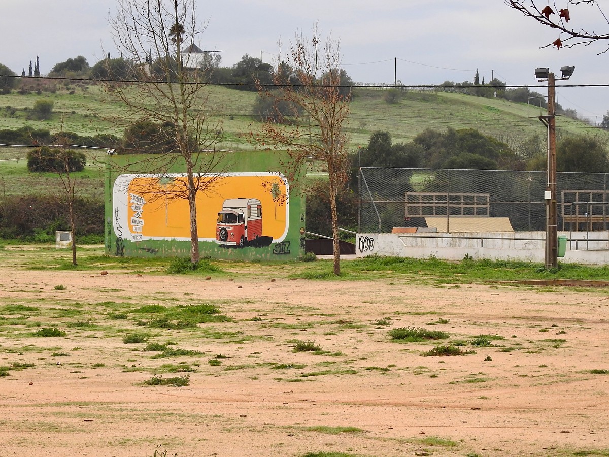 Barão de São João skatepark